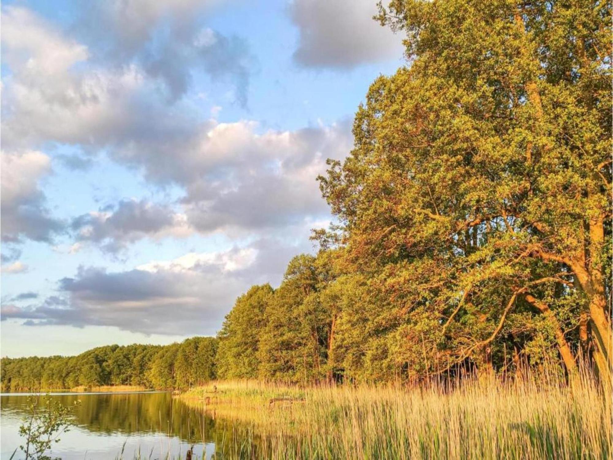 Welcoming Holiday Home In Gegensee Near Szczecin Lagoon Ahlbeck  Ngoại thất bức ảnh