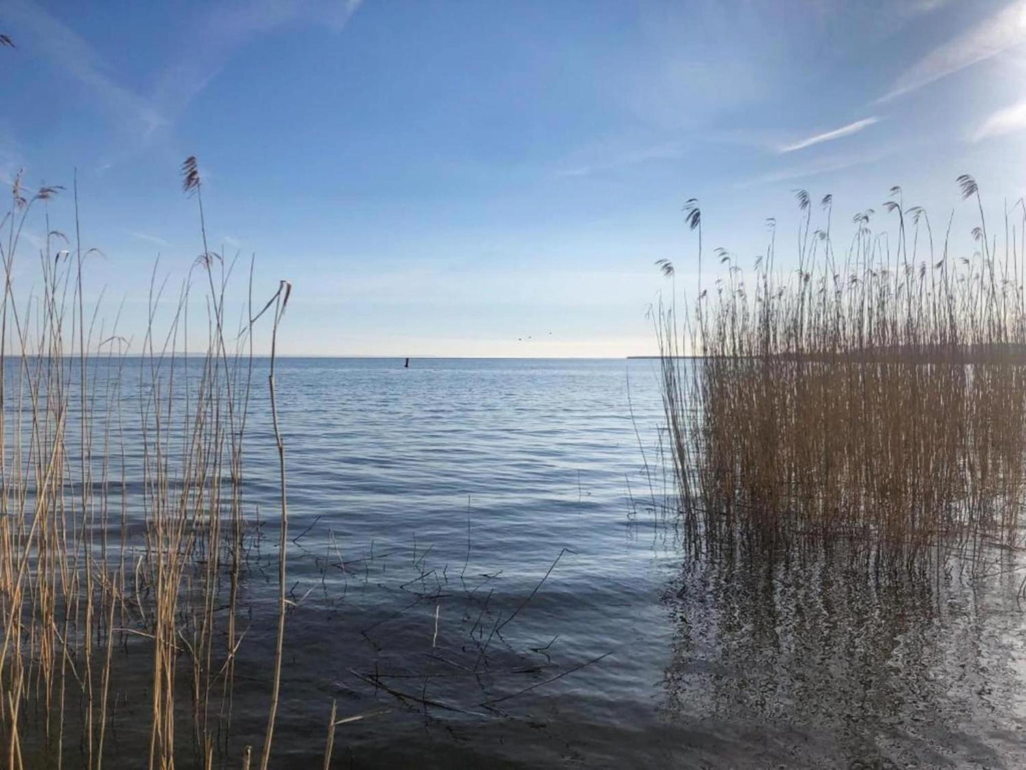 Welcoming Holiday Home In Gegensee Near Szczecin Lagoon Ahlbeck  Ngoại thất bức ảnh